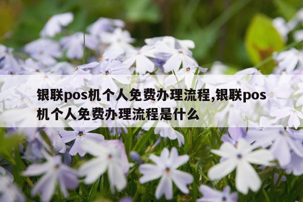 银联pos机个人免费办理流程,银联pos机个人免费办理流程是什么