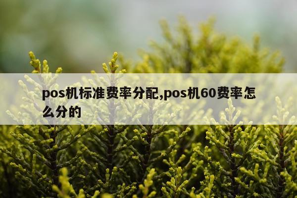 pos机标准费率分配,pos机60费率怎么分的
