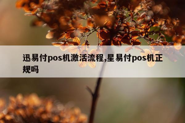 迅易付pos机激活流程,星易付pos机正规吗