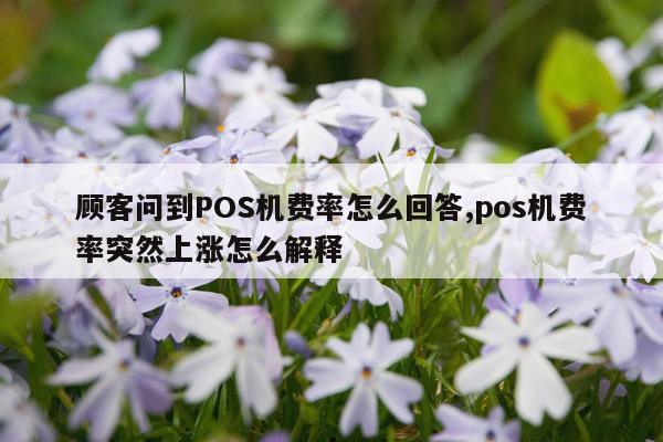 顾客问到POS机费率怎么回答,pos机费率突然上涨怎么解释