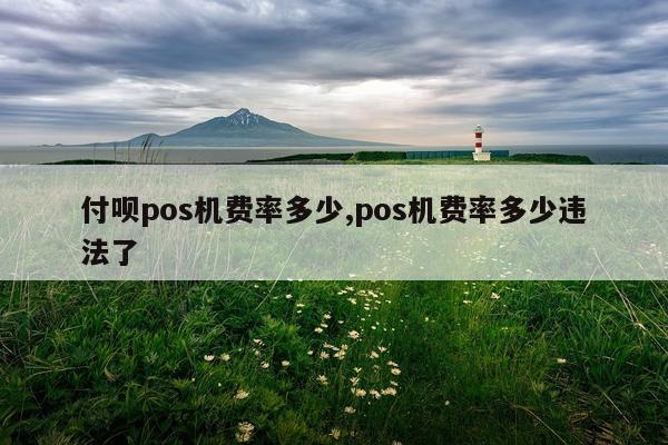 付呗pos机费率多少,pos机费率多少违法了