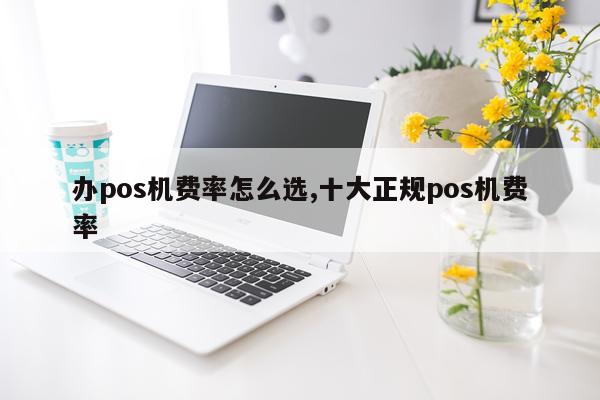 办pos机费率怎么选,十大正规pos机费率