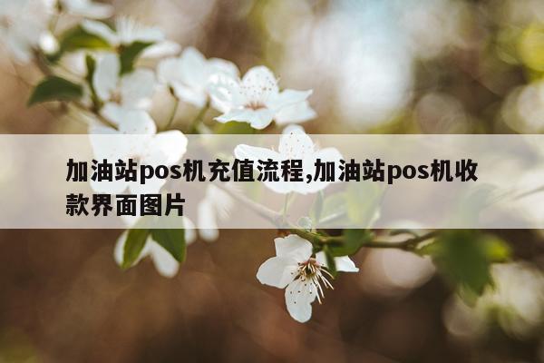 加油站pos机充值流程,加油站pos机收款界面图片