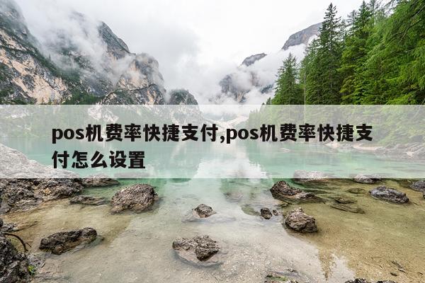 pos机费率快捷支付,pos机费率快捷支付怎么设置