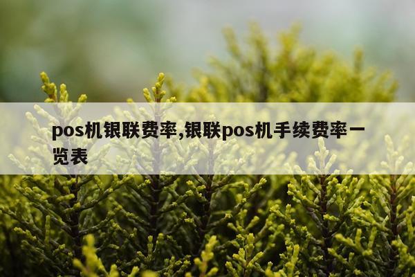 pos机银联费率,银联pos机手续费率一览表
