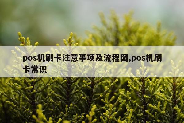pos机刷卡注意事项及流程图,pos机刷卡常识