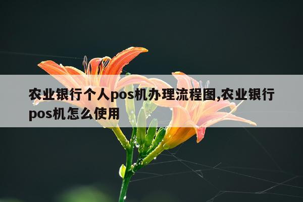 农业银行个人pos机办理流程图,农业银行pos机怎么使用