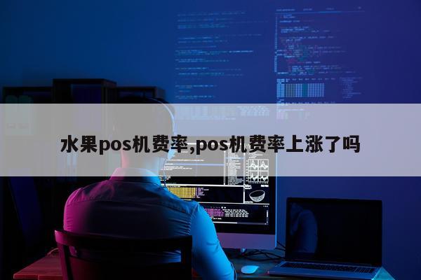 水果pos机费率,pos机费率上涨了吗